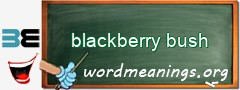 WordMeaning blackboard for blackberry bush